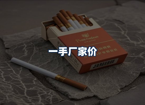 专业团队办公环境